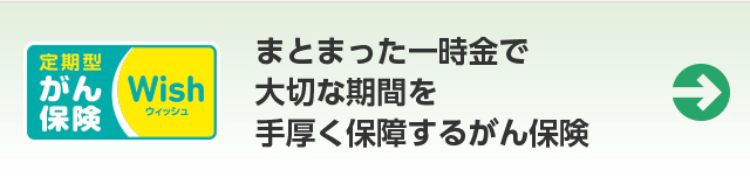 定期型
がん Wish
まとまった一時金で
大切な期間を
保険
ウィッシュ
手厚く保障するがん保険