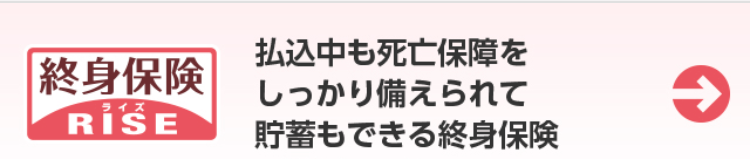 終身保険
ライズ
RISE
払込中も死亡保障を
しっかり備えられて
貯蓄もできる終身保険