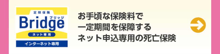 定期保険
お手頃な保険料で
Bridge 一定期間を保障する
ネット専用
インターネット専用
ネット申込専用の死亡保険