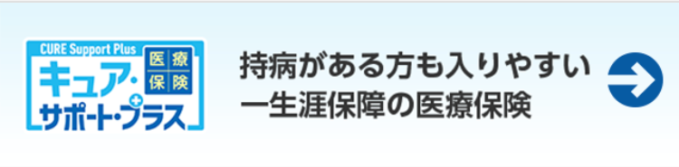 キュアサポートプラス