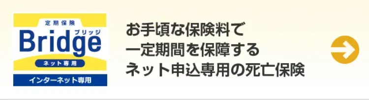 定期保険
お手頃な保険料で
Bridge 一定期間を保障する
ネット専用
ネット申込専用の死亡保険
インターネット専用