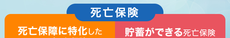 死亡保険
死亡保障に特化した 貯蓄ができる死亡保険