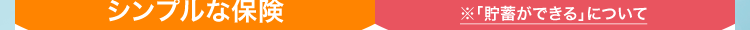 シンプルな保険
※ 「貯蓄ができる」 について