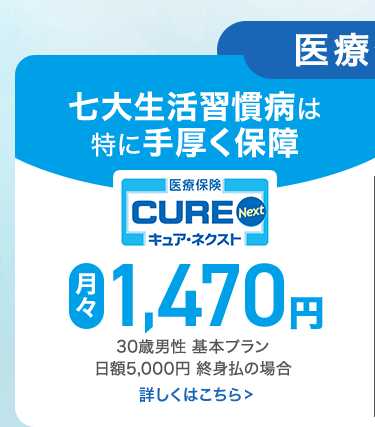 医療
七大生活習慣病は
特に手厚く保障
[医療保険]
CURE Next
|キュアネクスト|
月 1,470円
々
30歳男性 基本プラン
日額5,000円 終身払の場合
詳しくはこちら>