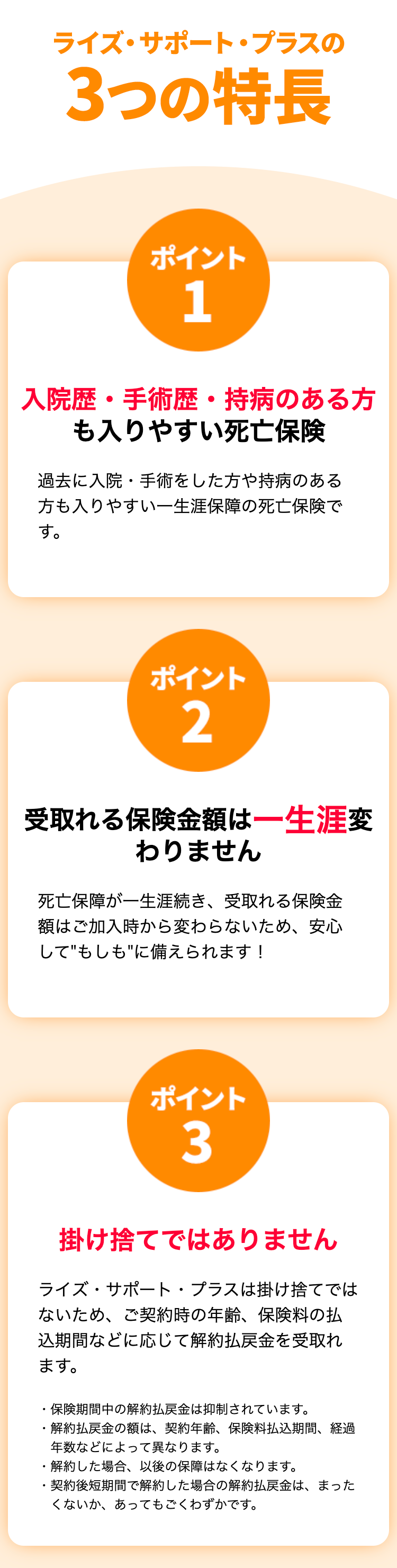 ライズサポートプラスの3つの特長