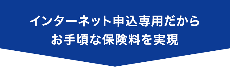 インターネット申込専用だから
お手頃な保険料を実現
