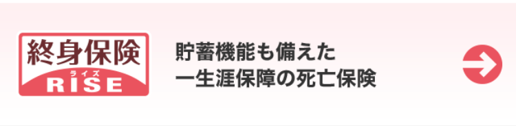 終身保険
ライズ
RISE
貯蓄機能も備えた
一生涯保障の死亡保険