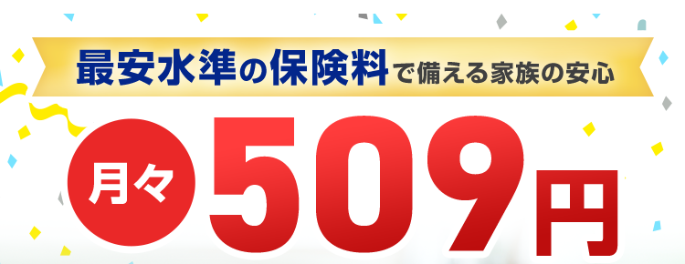最安水準の保険料で備える家族の安心
月々
0509円