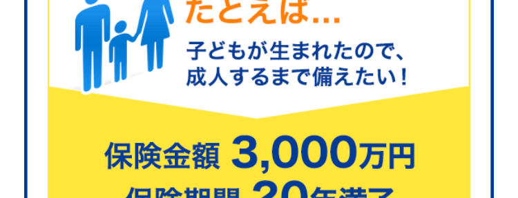 定期保険
ブリッジが
Bridge
ネット専用
選ばれる理由
1. 保険金額と
保険期間を選べる
保険金額は500万円から
保険
金額
最高3,000万円まで100万円単位で
選べます!
保険
期間
※年齢によってお申込みいただける保険金額が
異なります。
保険期間は年満了と歳満了から選べます!
10年満了から30年満了まで、 60歳満了から80
歳満了まで5年刻みで選べます。
年満了(自動更新タイプ) 年数で選ぶ場合
一定期間の備えを手厚くしたい方や保障
の上乗せにおすすめ!
10年
15年
20年
25年
30年 満了
保険期間を短く設定することで、 当面の保険料
を抑えることができます。 また更新時に保障の
見直しができます。
※自動更新は最長80歳までです。
※更新後の保険料は、 更新時の被保険者の年齢
および保険料率により計算します。
歳満了 (長期保障タイプ) 年齢で選ぶ場合
60歳
65歳
70歳
75歳
80歳
満了
安心の保障を長く備えたい方におすすめ!
保険期間満了まで保険料はご加入時のまま上
がりません。
※歳満了の場合は自動更新がありません。
死亡保険はあなたに万一のことがあったとき、の
こされたご家族の大事な生活資金になります。
シングル、ご夫婦、小さいお子さまがいる・・・など
ライフステージの変化によって必要保障額も変
わります。
万一のとき、必要な保障がなくて困ることがな
いように
今のあなたにぴったりなプランを
選ぶことができます。
たとえば...
子どもが生まれたので、
成人するまで備えたい!
保険金額 3,000万円
保険期間 20年満了
+α
たとえば...
すでに加入している保険に、
一時的に上乗せしたい!
保険金額 1,000万円
保険期間 10年満了
たとえば...
子どもが独立、保障額を
減らして80歳まで備えたい!
保険金額 500万円
保険期間 80歳満了