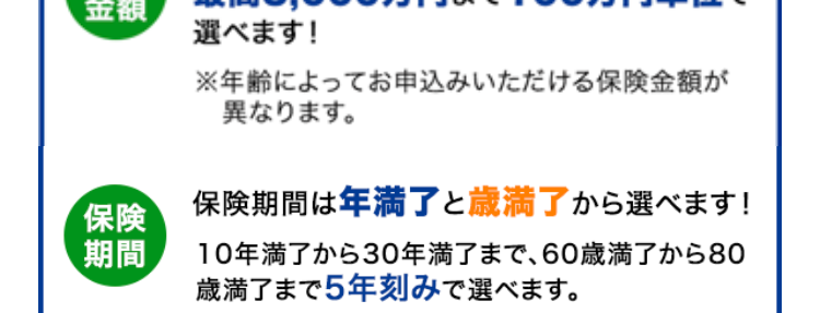 定期保険
ブリッジが
Bridge
ネット専用
選ばれる理由
1. 保険金額と
保険期間を選べる
保険金額は500万円から
保険
金額
最高3,000万円まで100万円単位で
選べます!
保険
期間
※年齢によってお申込みいただける保険金額が
異なります。
保険期間は年満了と歳満了から選べます!
10年満了から30年満了まで、 60歳満了から80
歳満了まで5年刻みで選べます。
年満了(自動更新タイプ) 年数で選ぶ場合
一定期間の備えを手厚くしたい方や保障
の上乗せにおすすめ!
10年
15年
20年
25年
30年 満了
保険期間を短く設定することで、 当面の保険料
を抑えることができます。 また更新時に保障の
見直しができます。
※自動更新は最長80歳までです。
※更新後の保険料は、 更新時の被保険者の年齢
および保険料率により計算します。
歳満了 (長期保障タイプ) 年齢で選ぶ場合
60歳
65歳
70歳
75歳
80歳
満了
安心の保障を長く備えたい方におすすめ!
保険期間満了まで保険料はご加入時のまま上
がりません。
※歳満了の場合は自動更新がありません。
死亡保険はあなたに万一のことがあったとき、の
こされたご家族の大事な生活資金になります。
シングル、ご夫婦、小さいお子さまがいる・・・など
ライフステージの変化によって必要保障額も変
わります。
万一のとき、必要な保障がなくて困ることがな
いように
今のあなたにぴったりなプランを
選ぶことができます。
たとえば...
子どもが生まれたので、
成人するまで備えたい!
保険金額 3,000万円
保険期間 20年満了
+α
たとえば...
すでに加入している保険に、
一時的に上乗せしたい!
保険金額 1,000万円
保険期間 10年満了
たとえば...
子どもが独立、保障額を
減らして80歳まで備えたい!
保険金額 500万円
保険期間 80歳満了